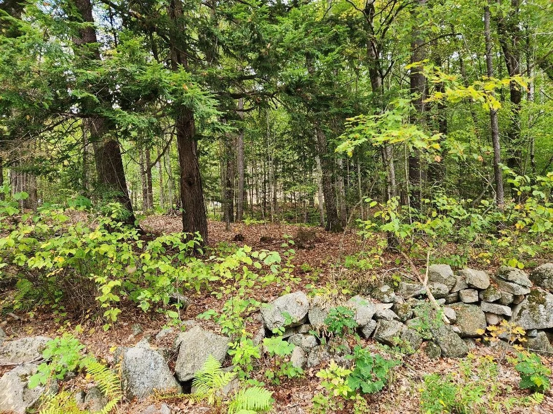 Photo of Lot 27-1 Old Walpole