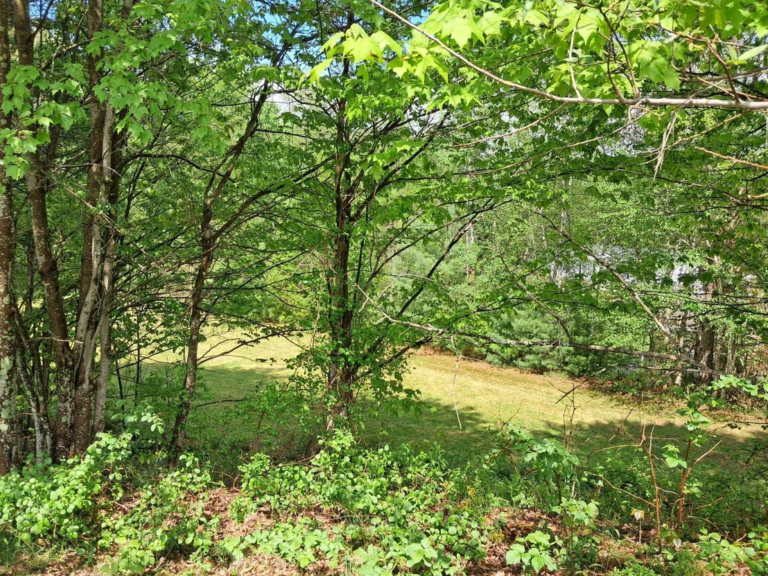 Photo of 764 NH Route 3A