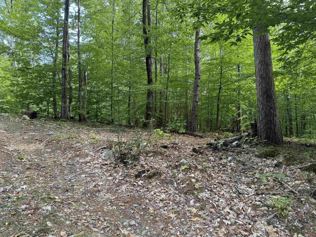 Photo of 26 Circuit