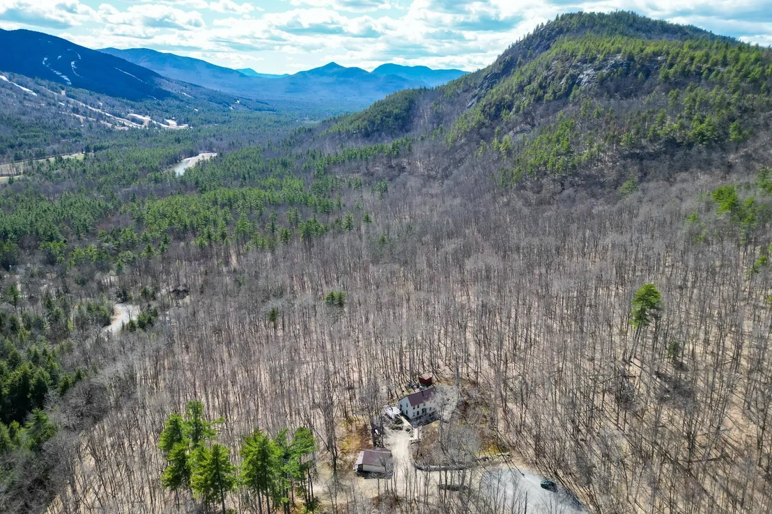 Photo of 46 Pickering