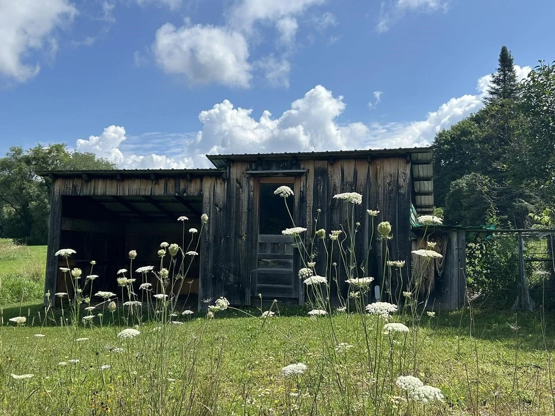 Photo of 150 Piney Woods