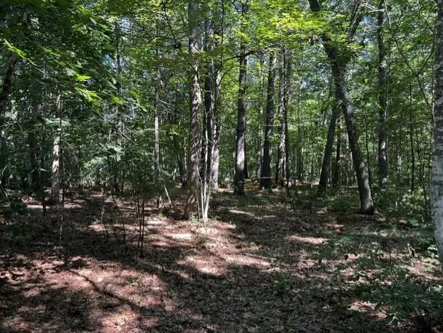 Photo of 271 Atlantic