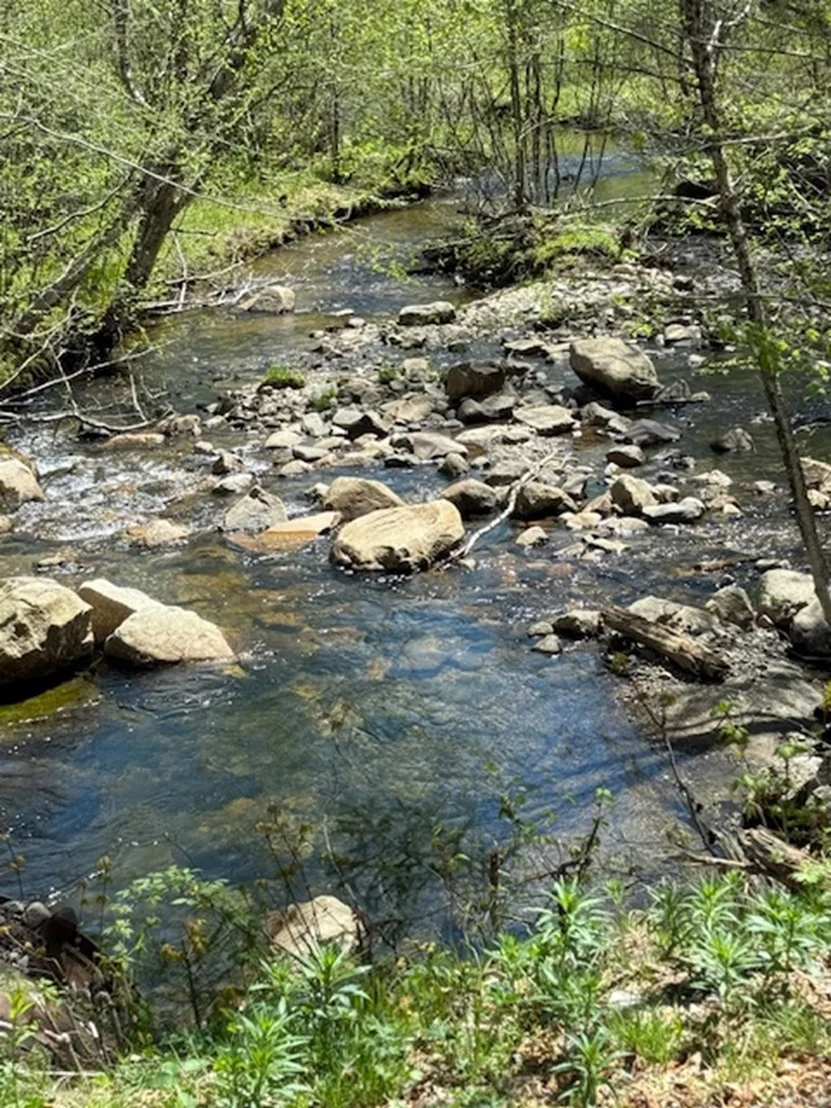 Photo of 2191 Nash Stream