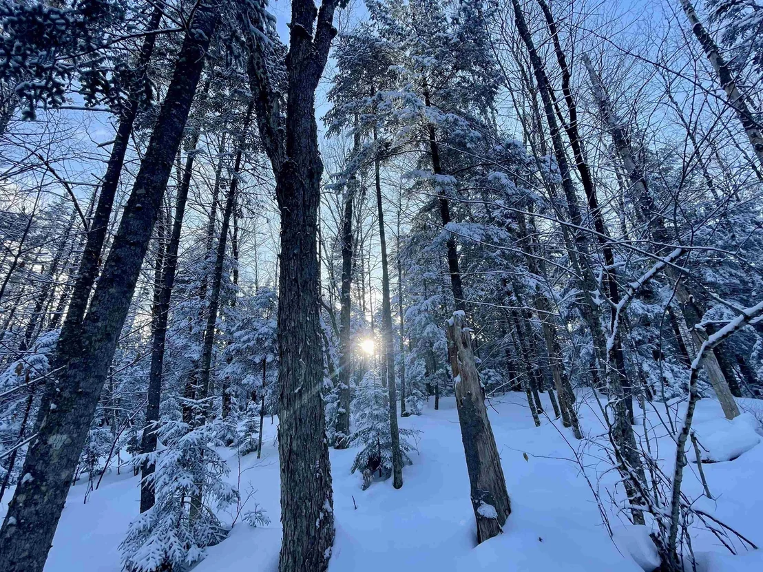 Photo of 00 Mountain