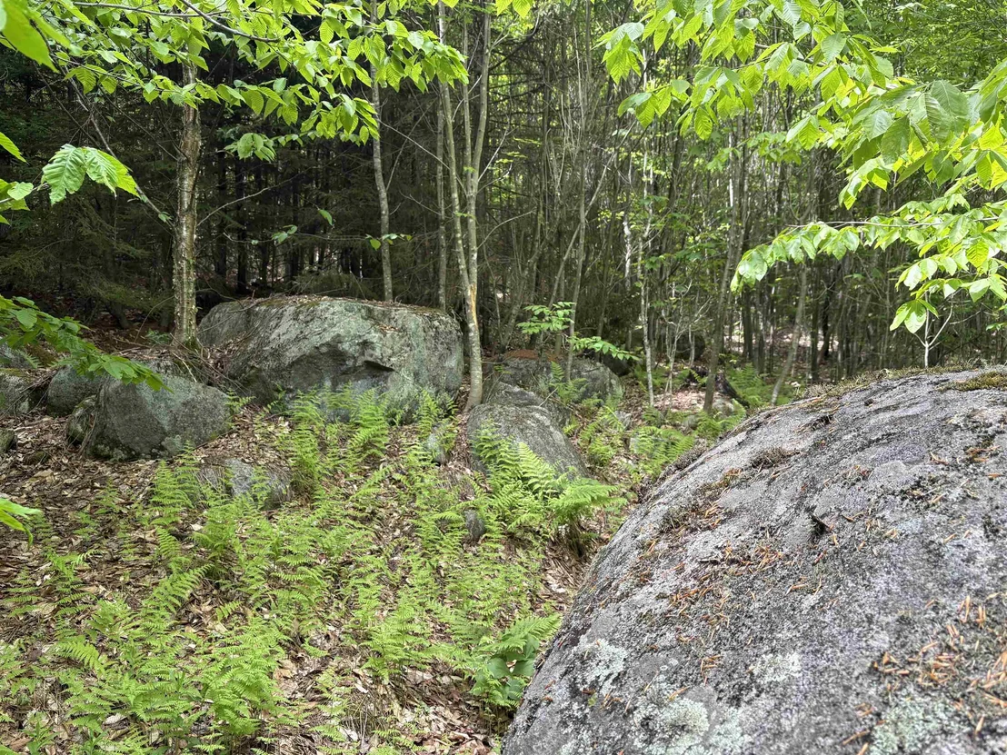 Photo of 0 Old Pond Hill
