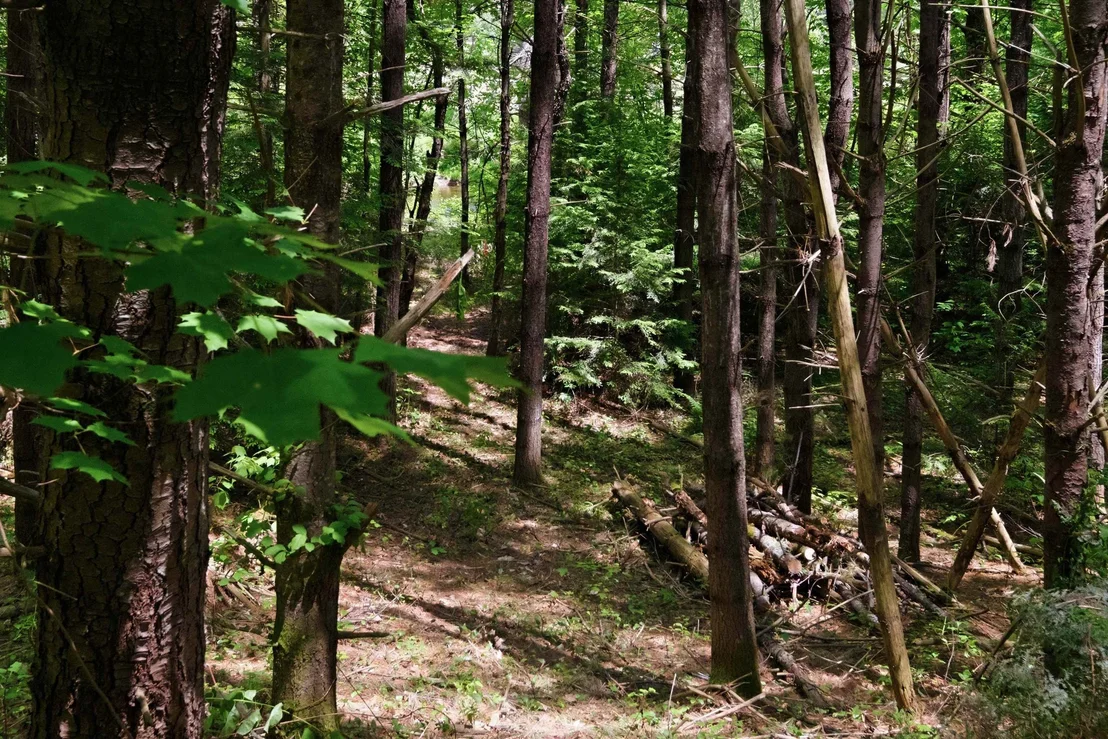 Photo of Unit MAP16LOT64 at 00 NH Route 103 West