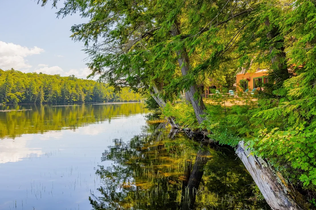 Photo of 37 Green Eagle