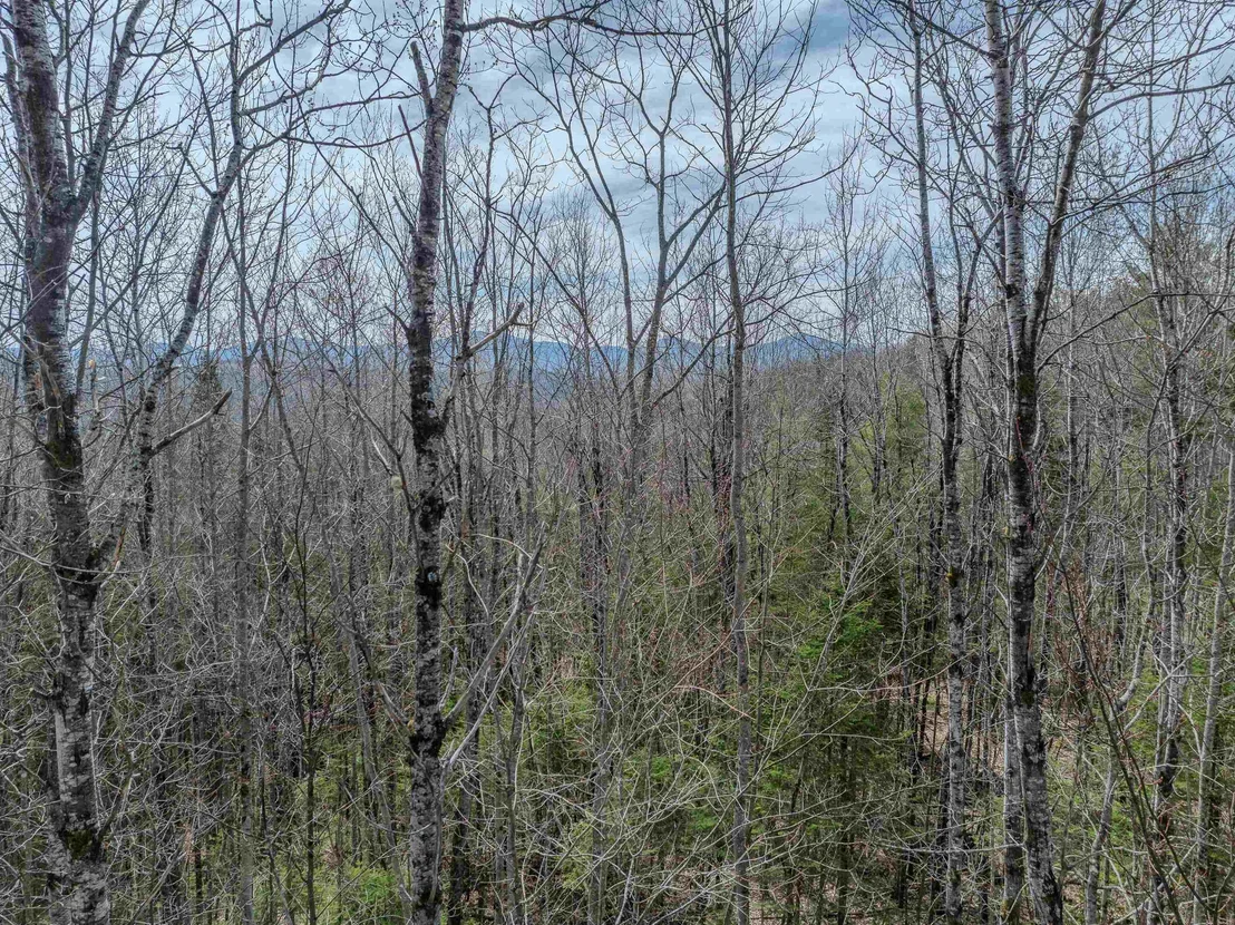 Photo of Lot 2 Mountain