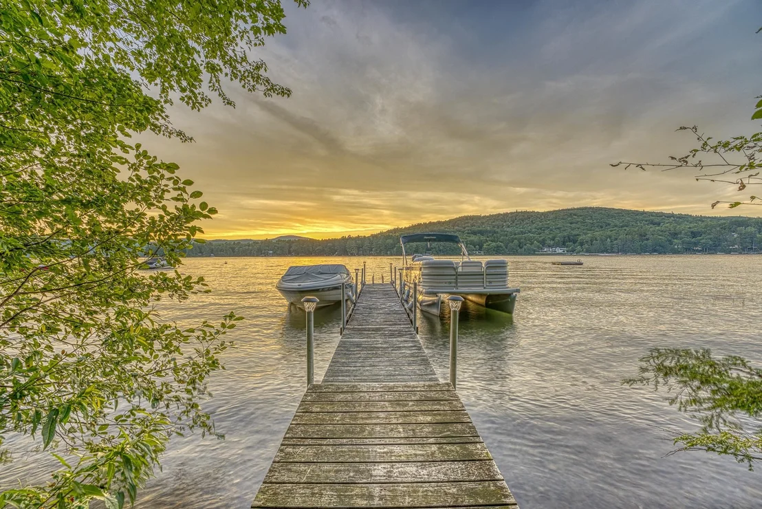 Photo of 11 Squamasee