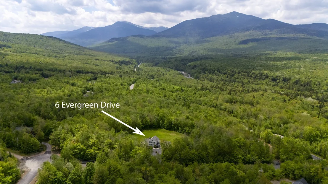 Photo of 6 Evergreen