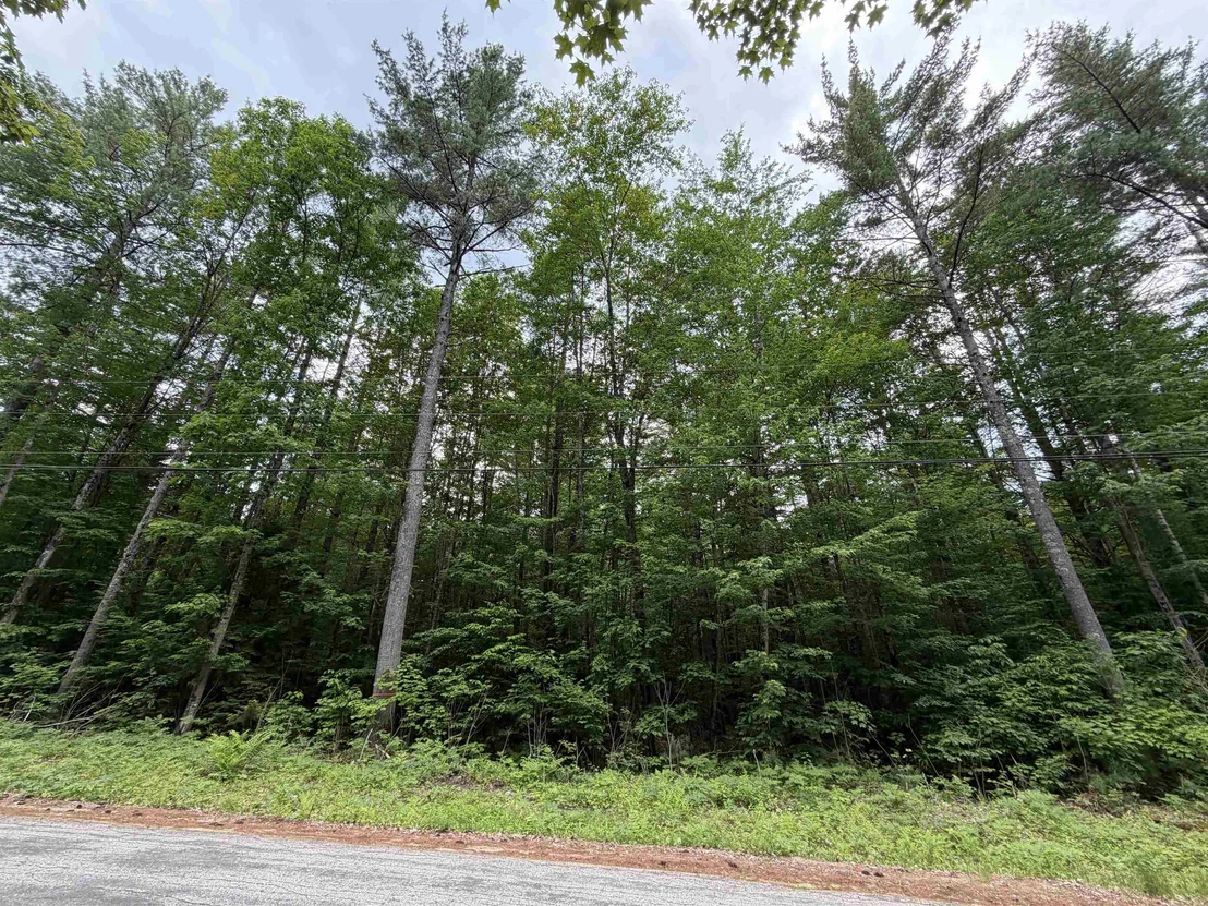 Photo of 00 Rolling Ridge