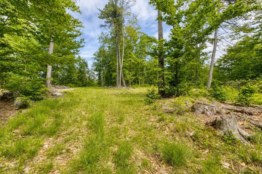 Photo of 160 Browns Ridge