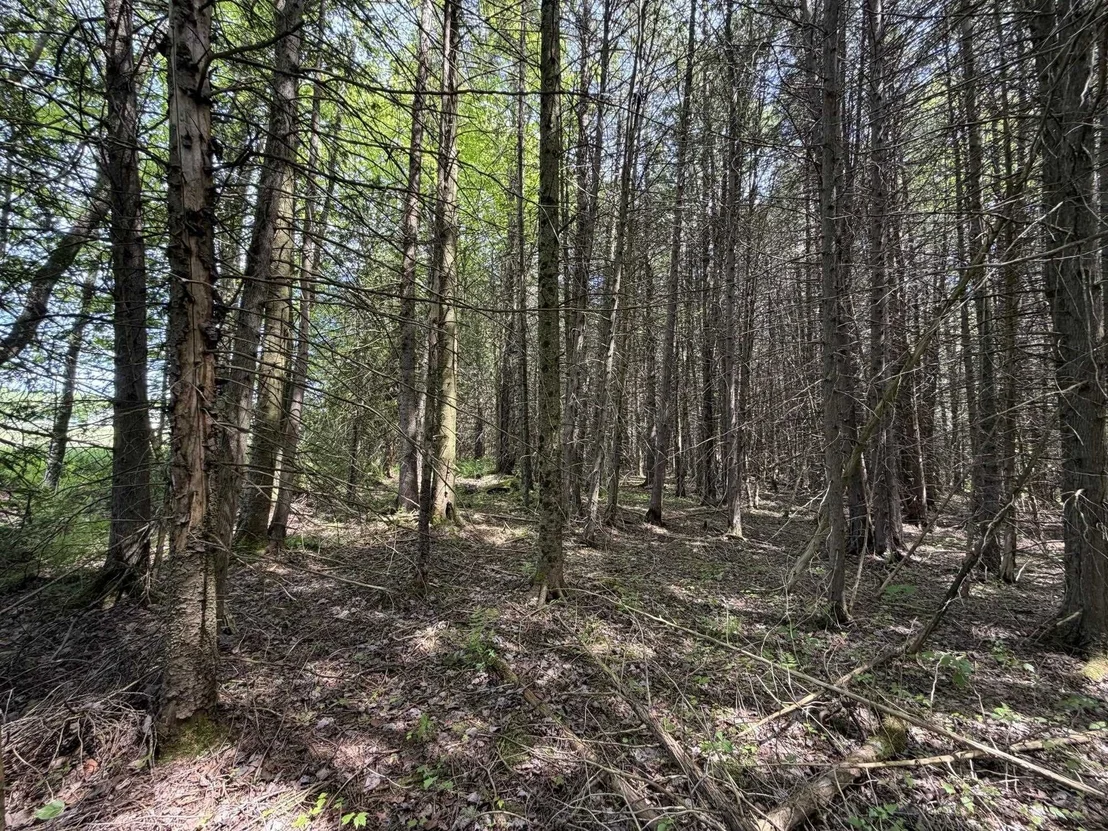 Photo of 2278 Valley