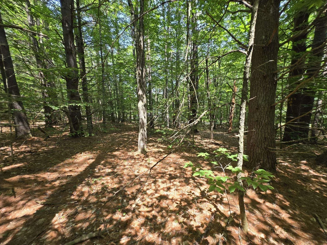 Photo of Lot 26 Davis Hill