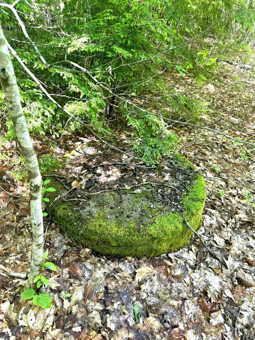 Photo of 115 Deer Path