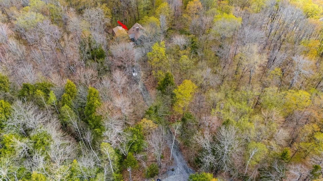 Photo of 12 Hidden