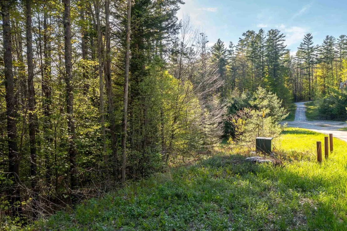 Photo of Lot 30 Cedar