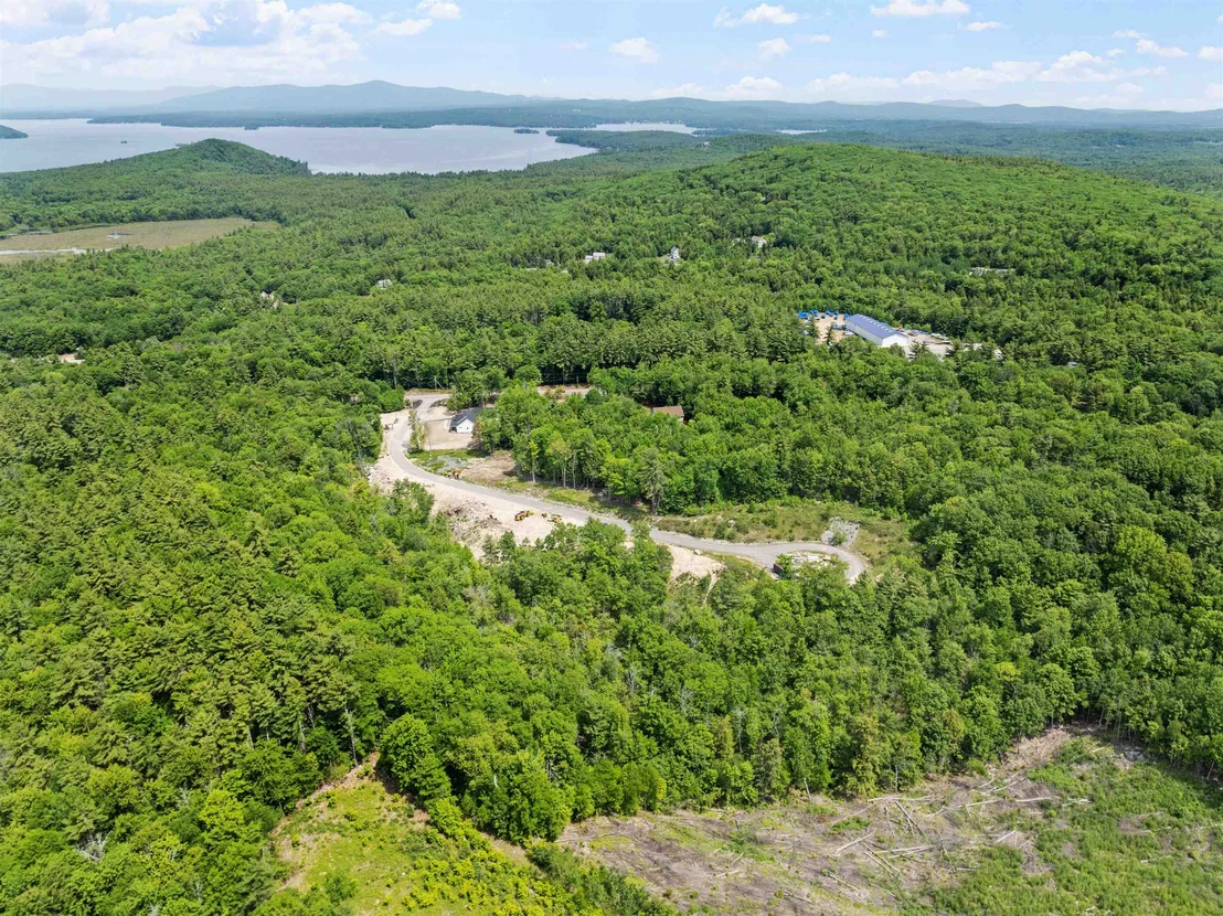 Photo of Lot 2 Jaytee
