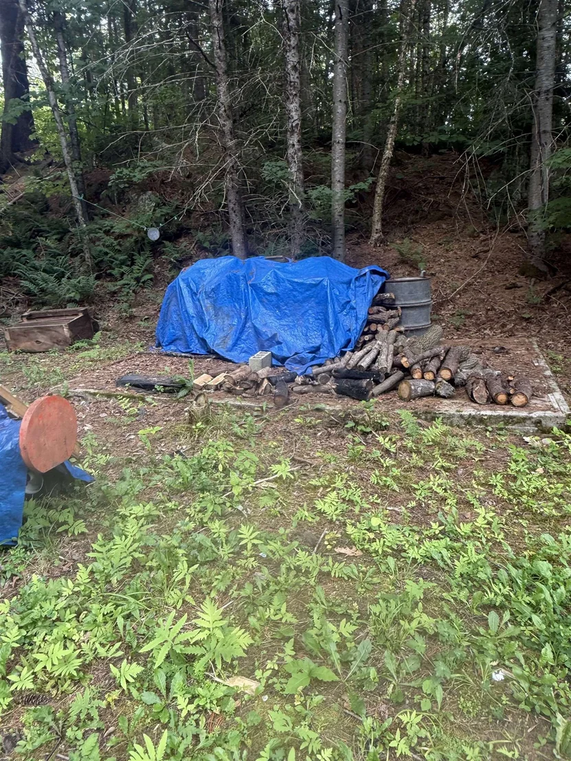 Photo of 7 Pine