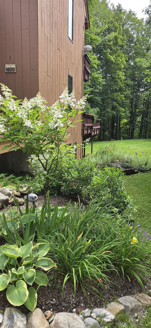 Photo of 176 Doubleday Hill