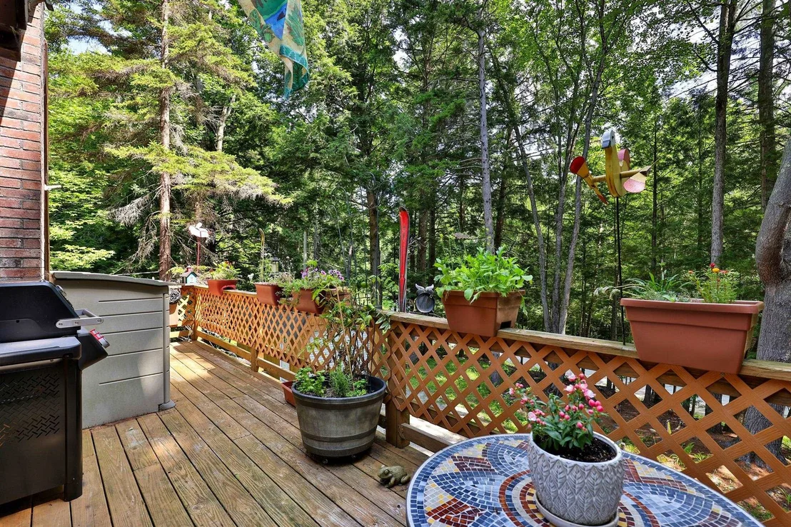 Photo of 253 Lookout