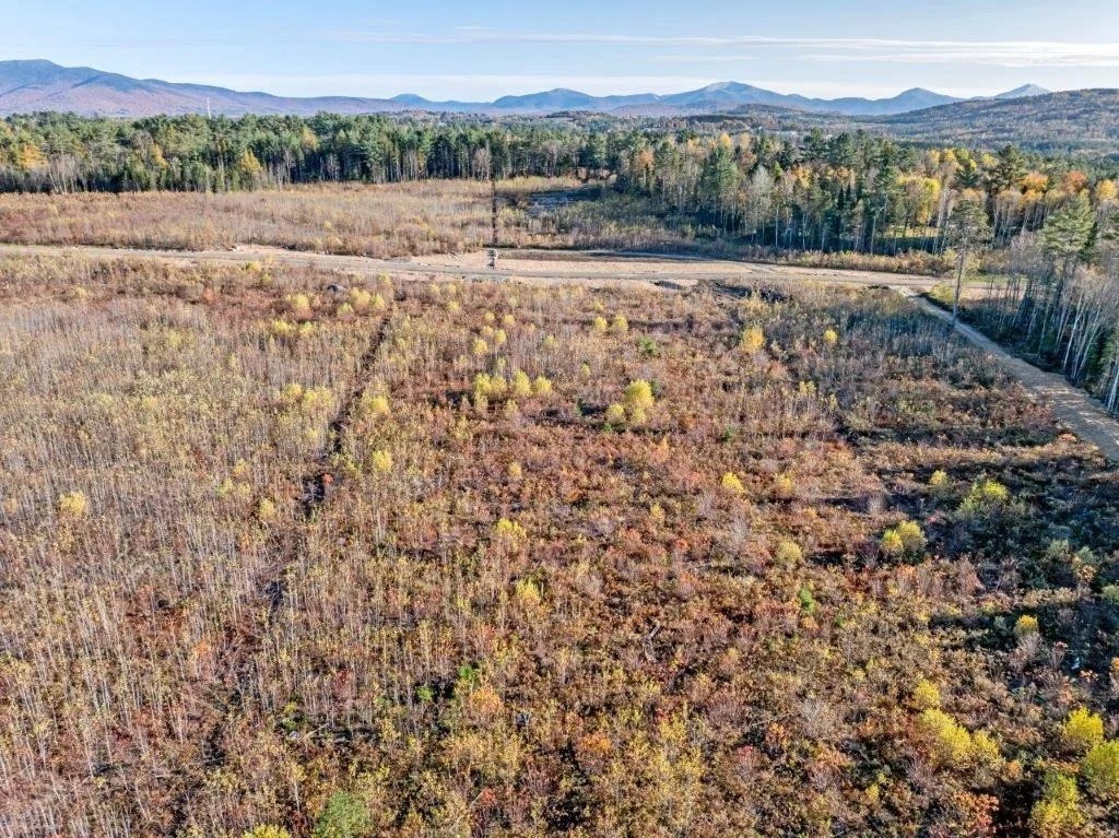 Photo of Lot 2 McIntyre