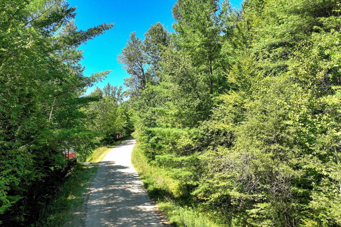 Photo of Lot 49 Spring