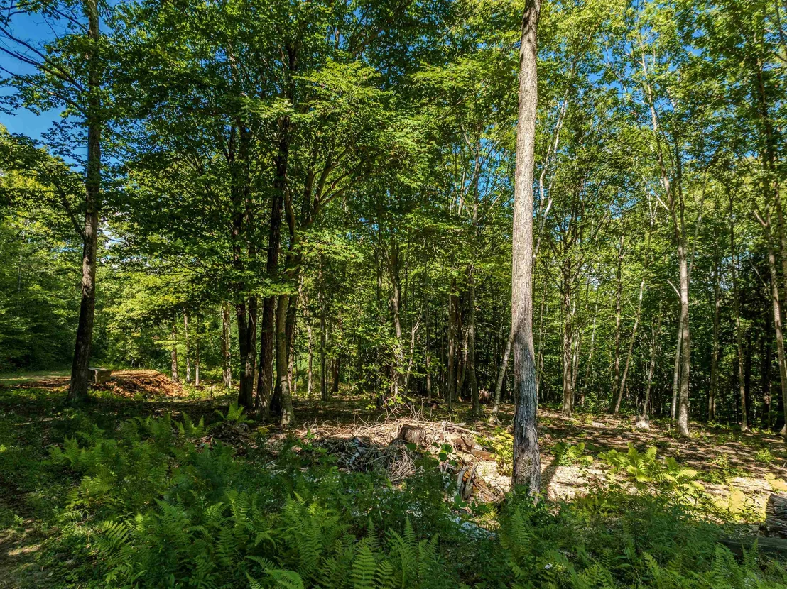 Photo of Lot 18 Ridge