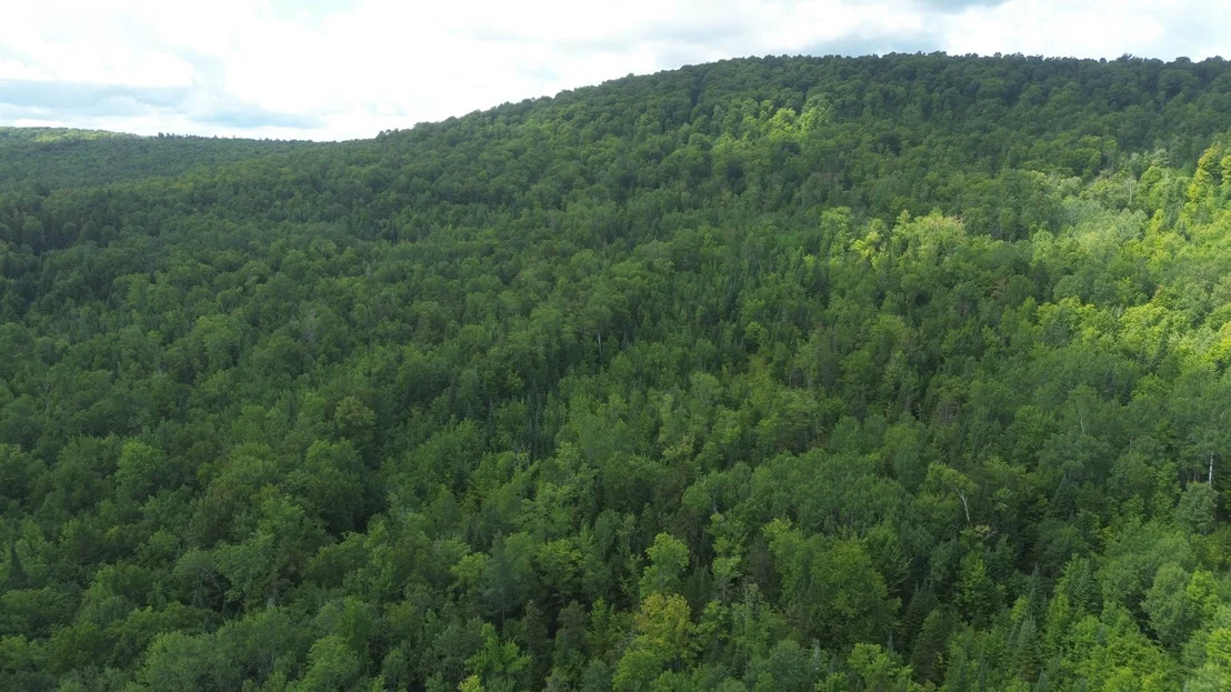 Photo of 0 Old Pond Hill