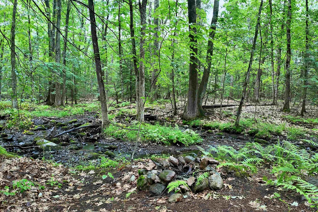 Photo of 55 Dunlap