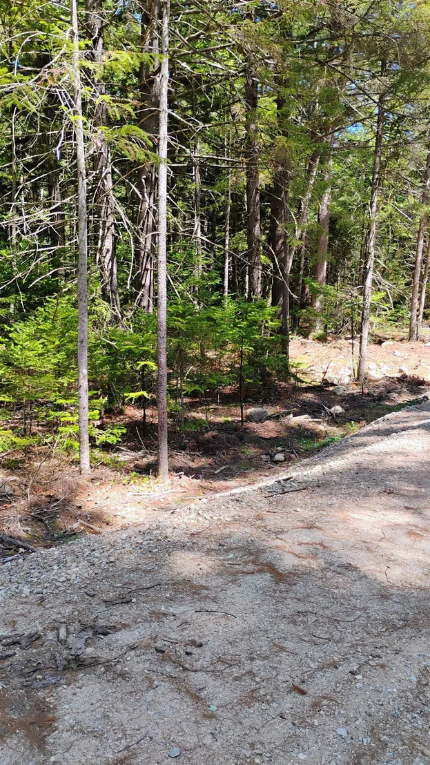 Photo of Lot 2 NH Route 4A