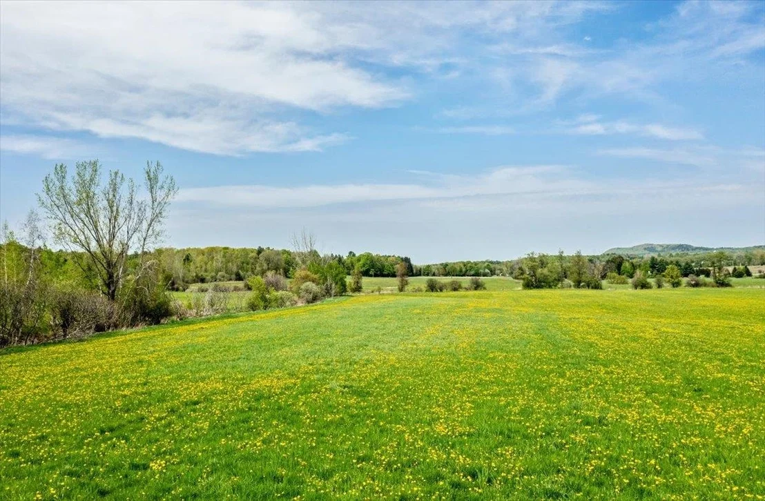 Photo of Lot 2 Plains