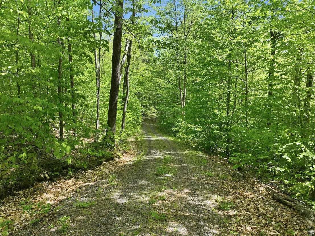 Photo of 189 Shagbark