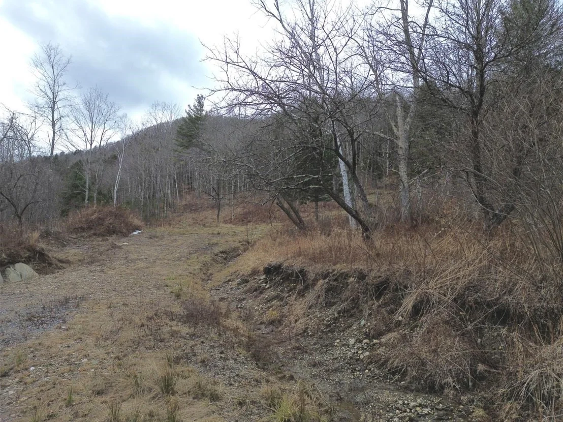 Photo of Unit 3 at 00 Bent Birch