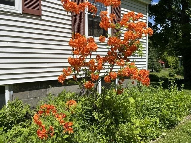 Photo of 98 Greenleaf