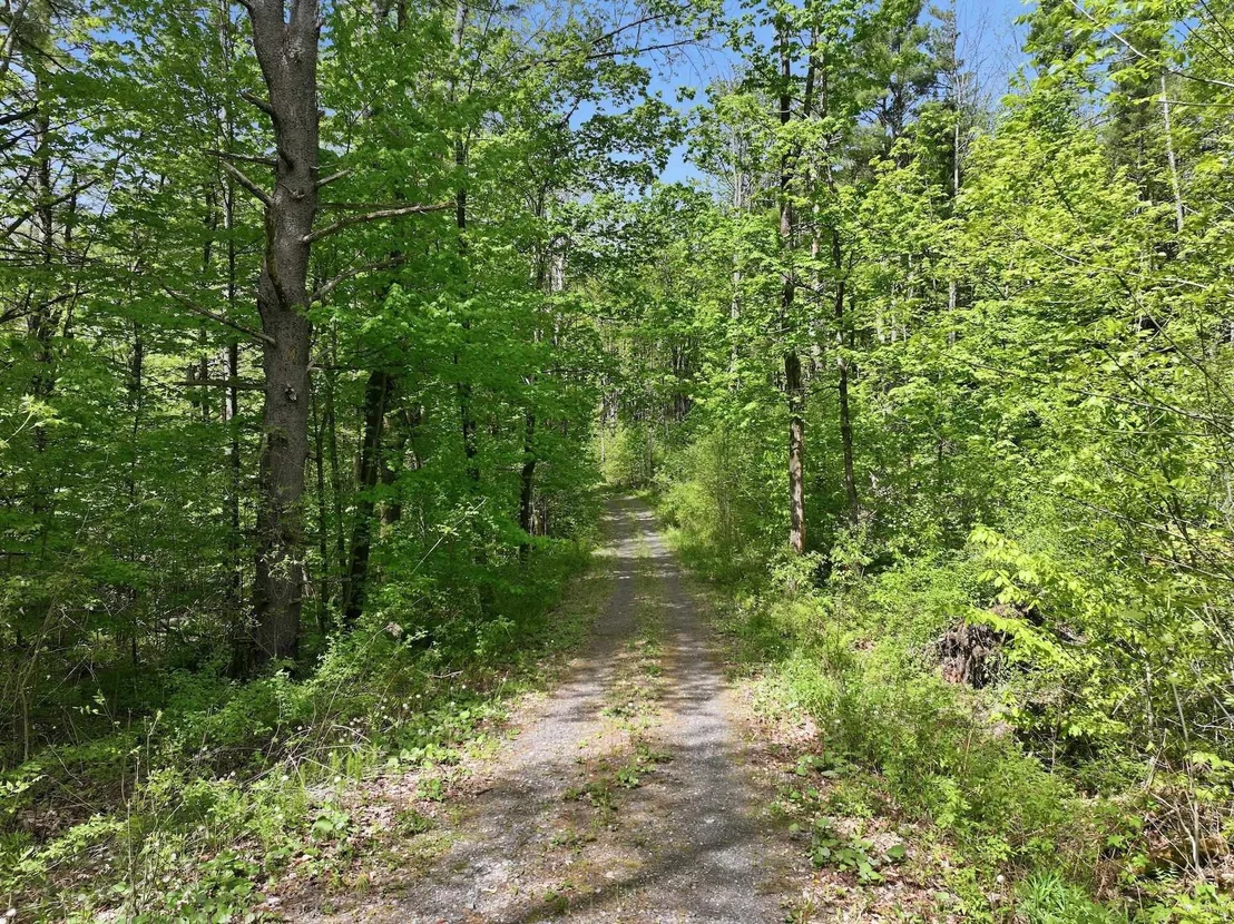 Photo of 189 Shagbark
