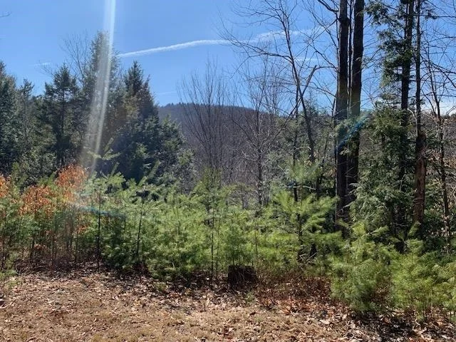 Photo of TBD VT Rt 100