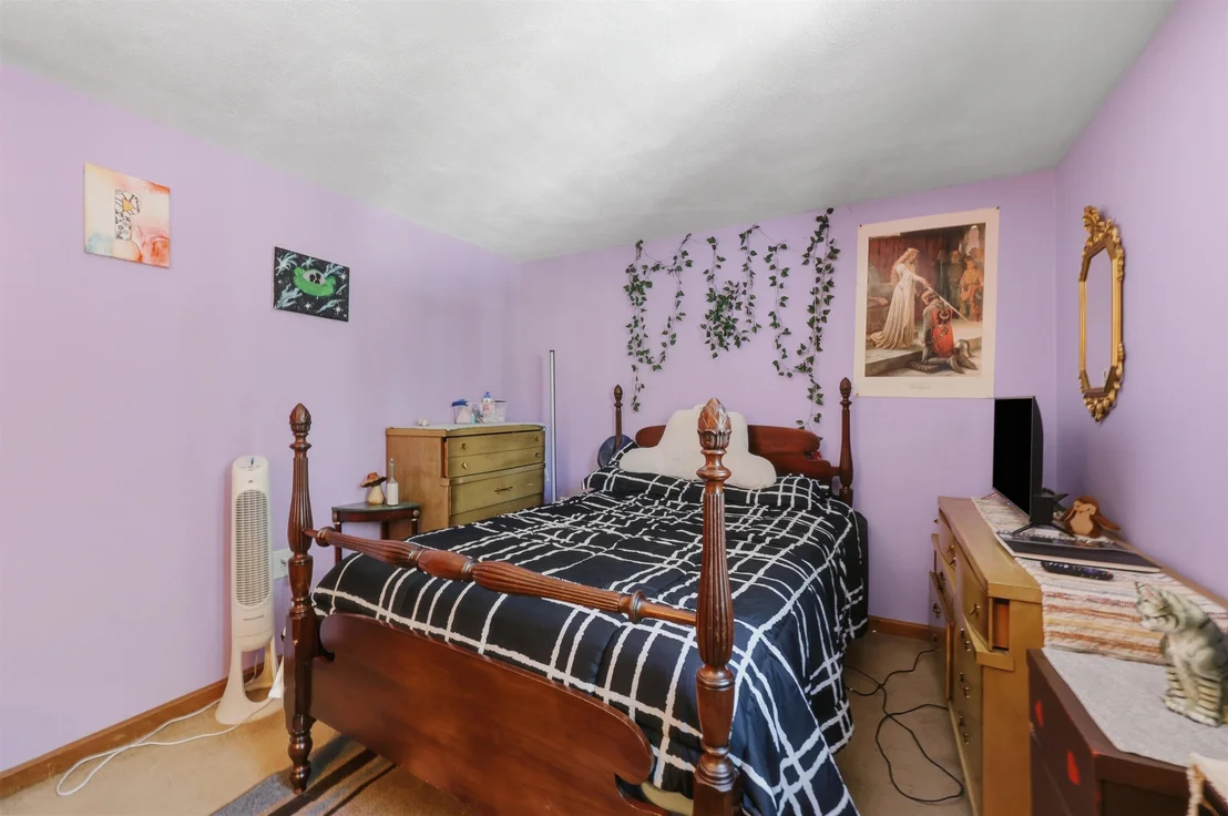 Photo of 10 Evergreen