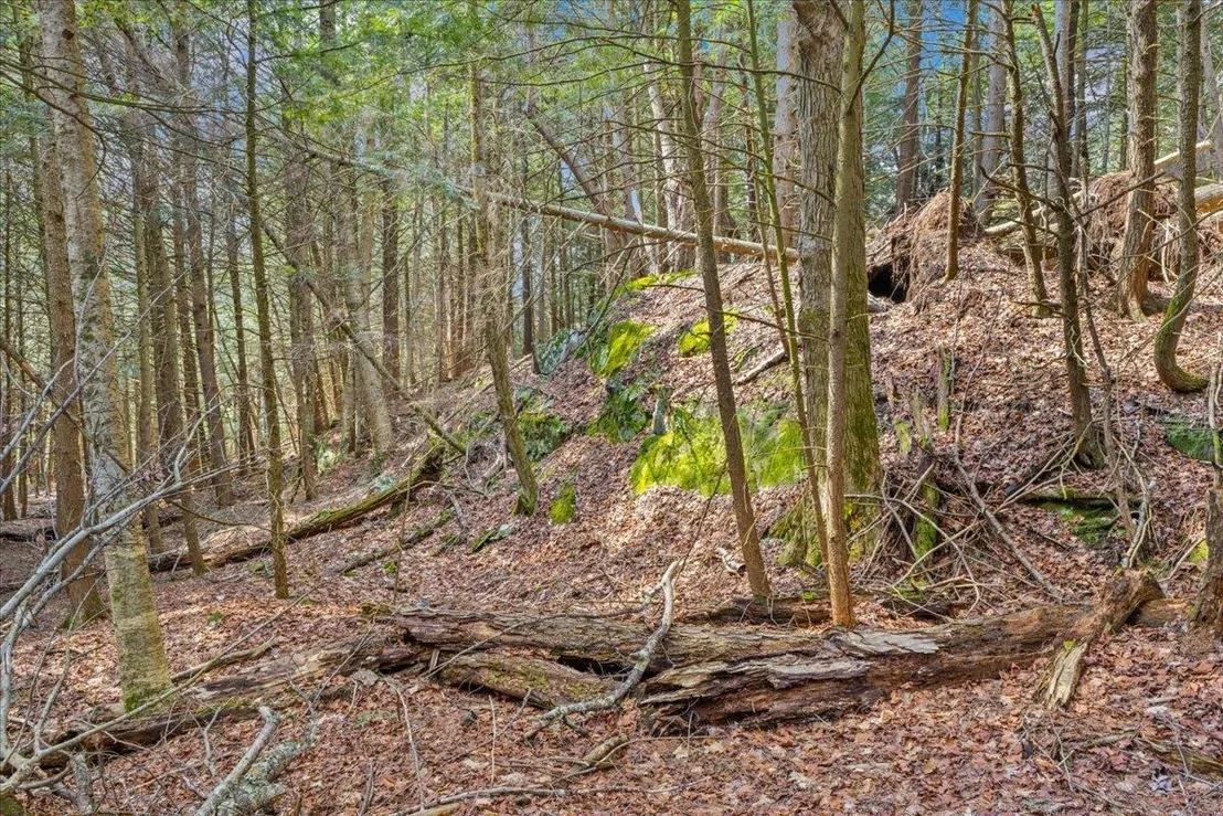 Photo of Lots 2 & 3 Hemlock