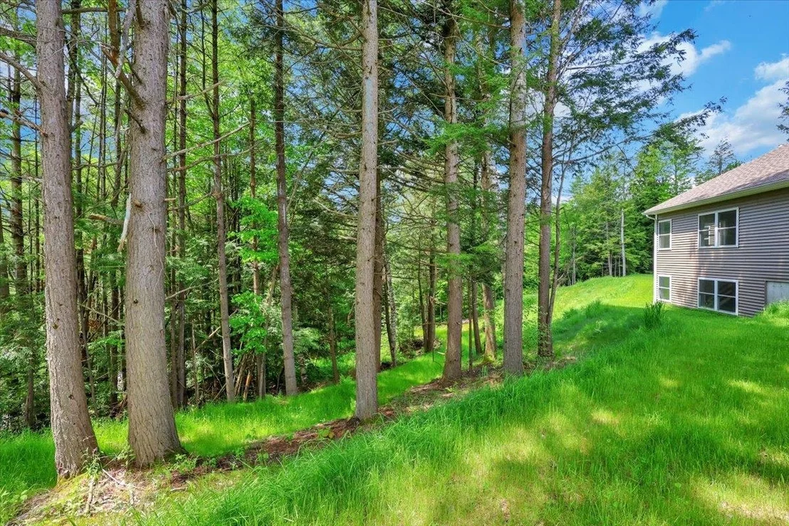 Photo of 49 Hemlock