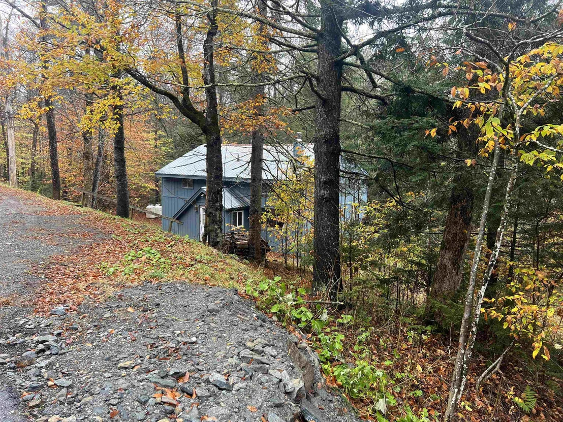 Photo of 40 Ellis Brook