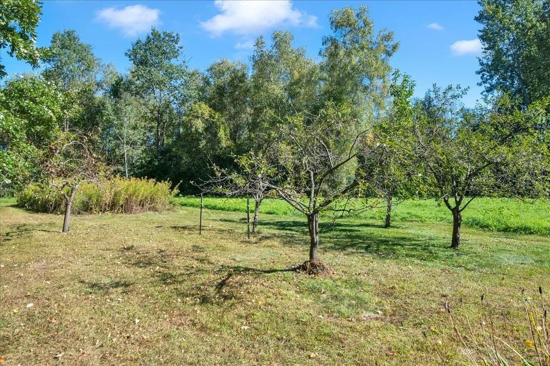 Photo of 185 Dirt