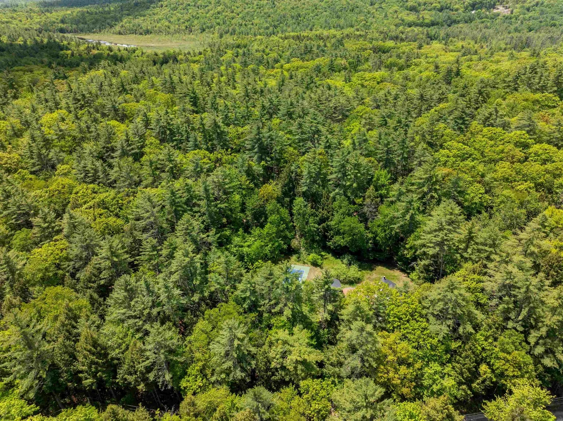 Photo of 47 Forest Pond