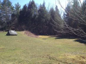 Photo of 53 Spafford