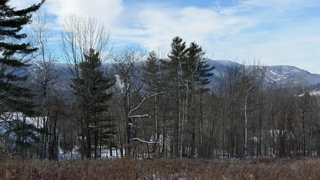 Photo of 899 Common