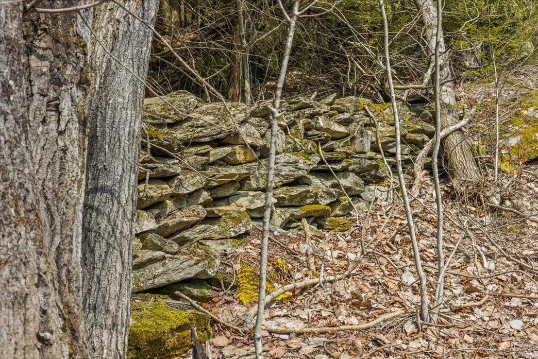 Photo of Lots 2 & 3 Hemlock