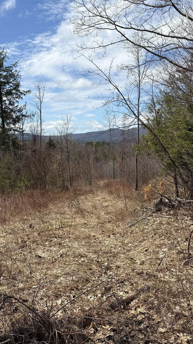 Photo of Unit LOT3 at 0 Oregon