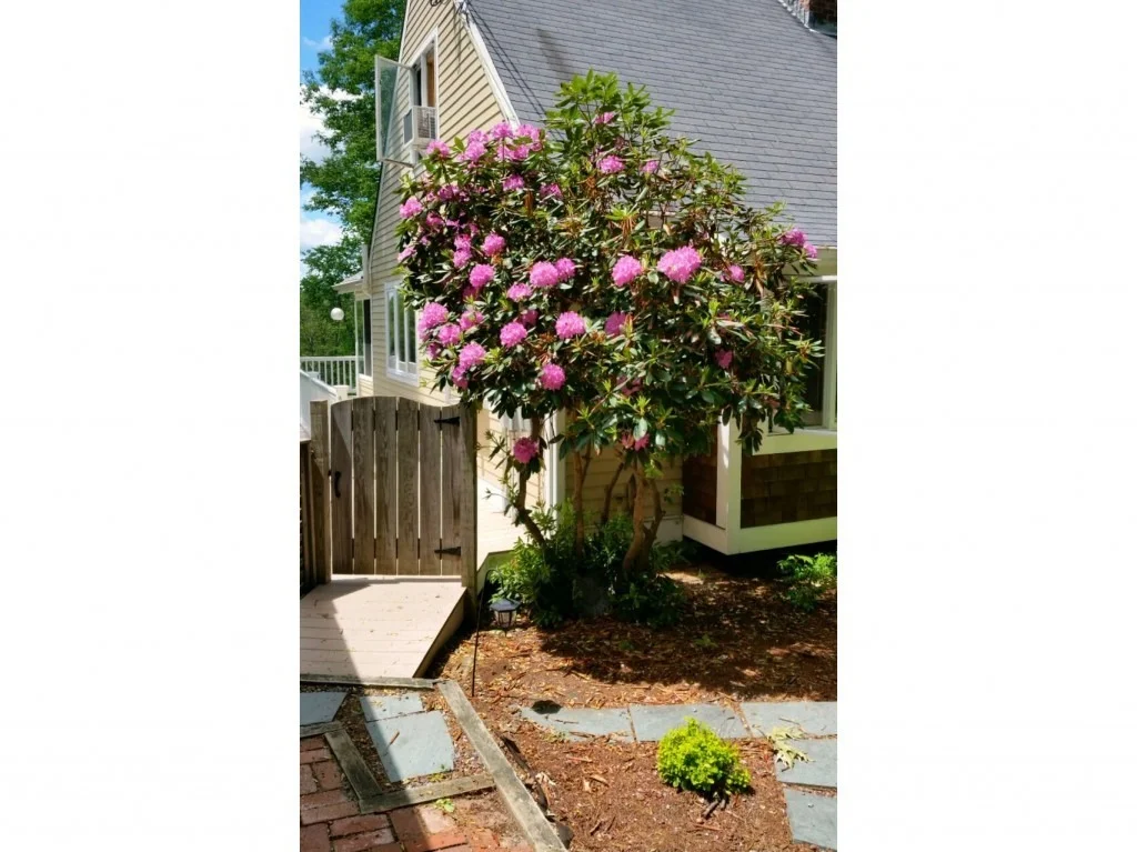 Photo of 