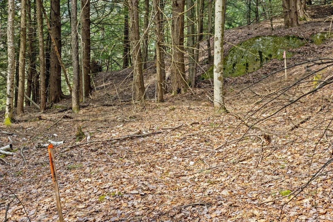 Photo of Lot 3 Hemlock