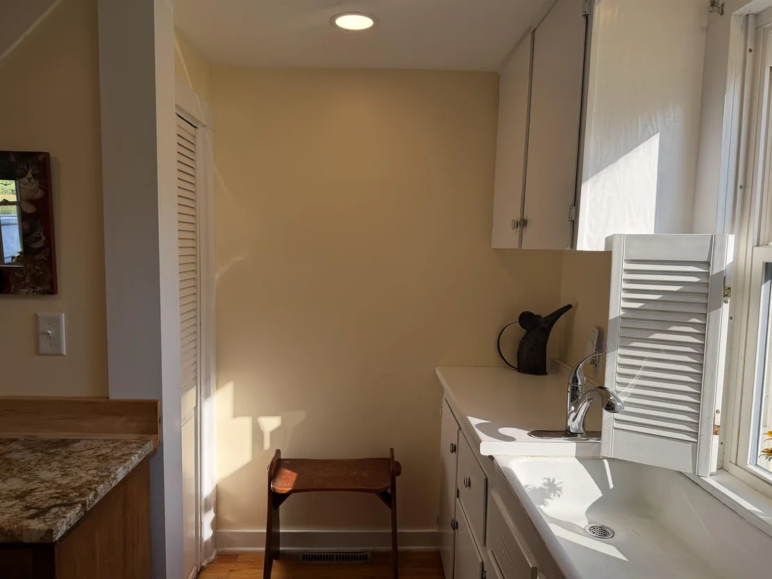 Photo of 2996 Leicester Whiting